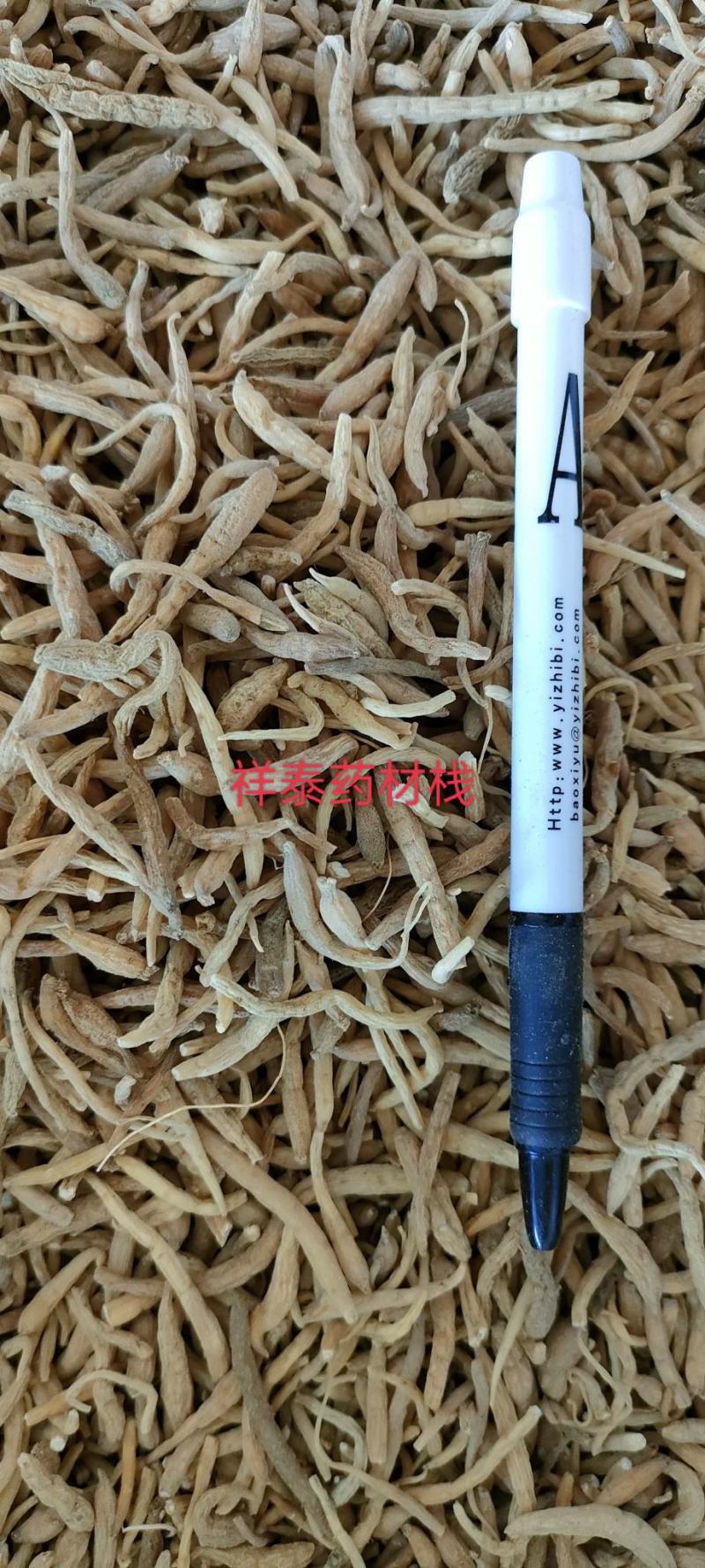 （热销）太子参实物拍摄量多从优产地大货祥泰药材栈中药材