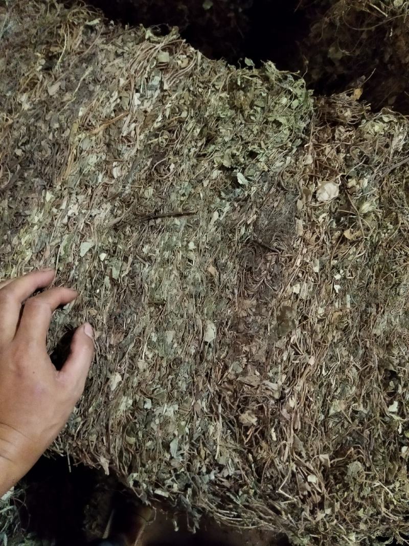 金钱草川金钱草大叶野生金钱草0.17含量大货产地直供