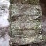金钱草川金钱草大叶野生金钱草0.17含量大货产地直供