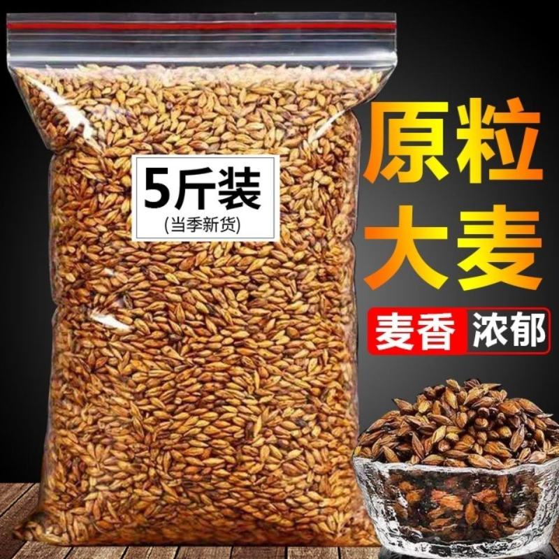 大麦茶原味正宗浓香型养胃解油腻麦芽大麦茶正宗饭店批发散装