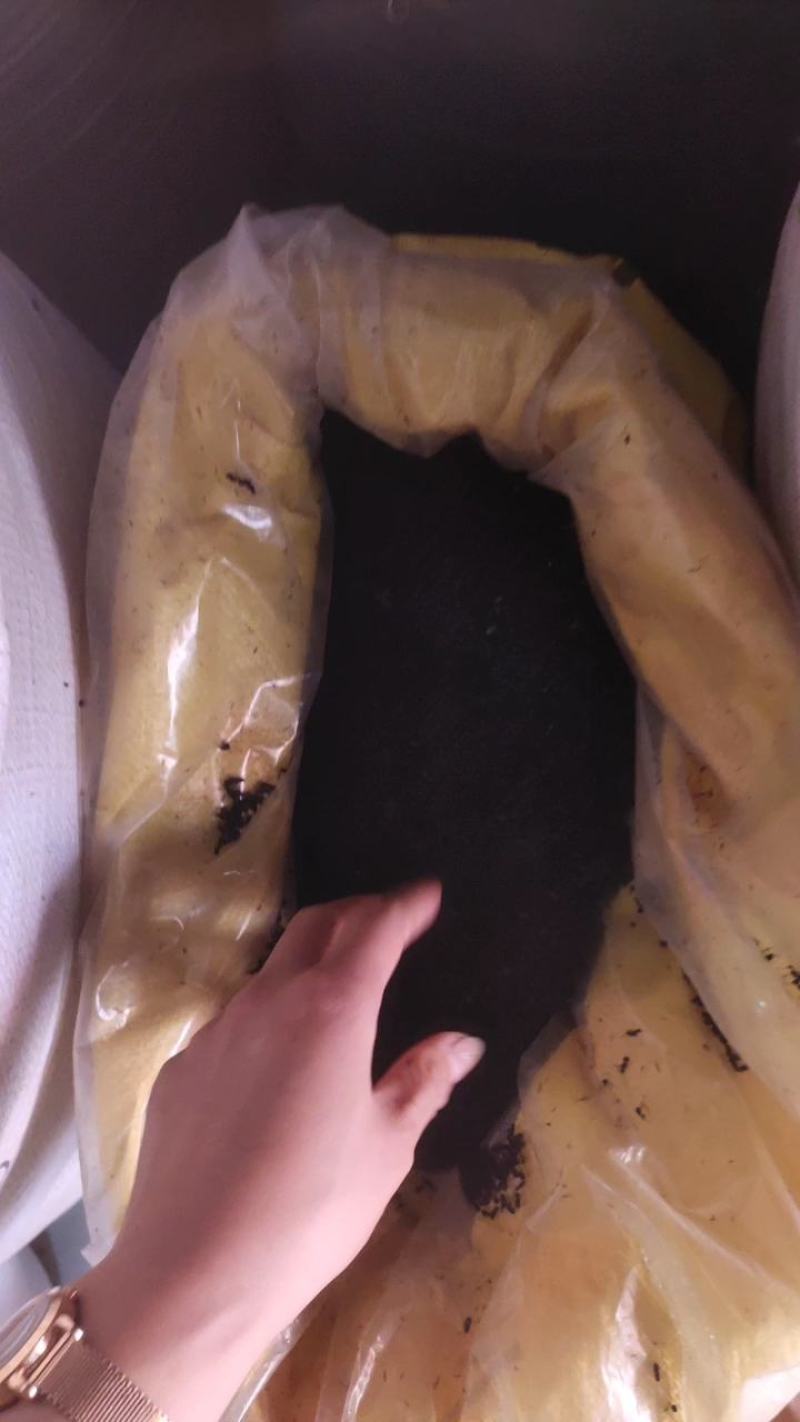 大黑蚂蚁蚂蚁干蚂蚁野生拟黑多刺蚁黑蚂蚁散装养生泡酒料