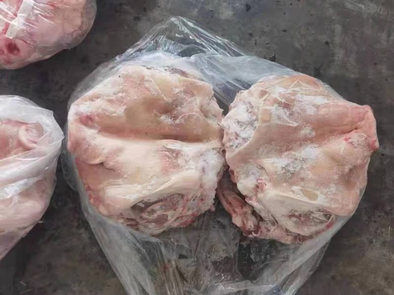 一级猪头国产肥猪劈半无耳8-10斤