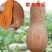蜜本南瓜种子种籽早栗苗食用香甜早熟高产蔬菜苗孑菜种