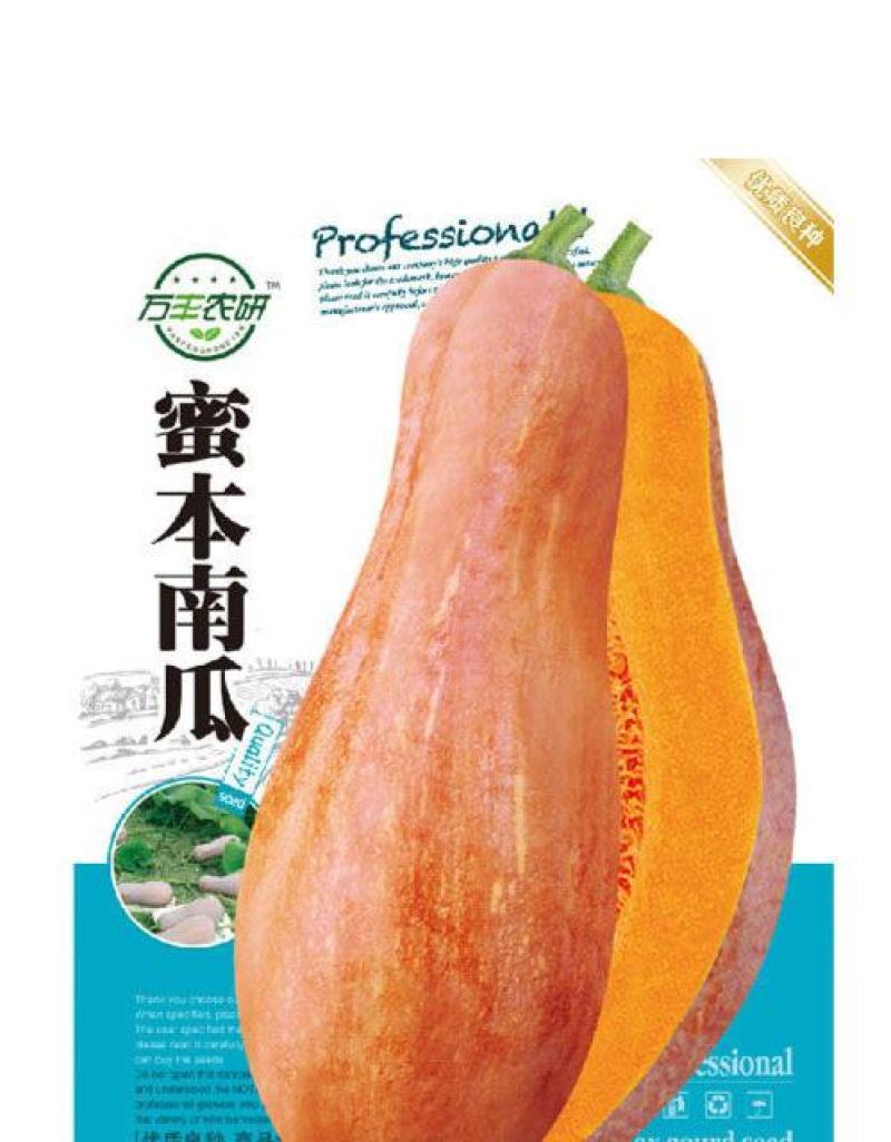 蜜本南瓜种子种籽早栗苗食用香甜早熟高产蔬菜苗孑菜种