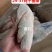 猪蹄，猪手，纯干猪蹄，纯干猪手，猪脚，纯干猪脚