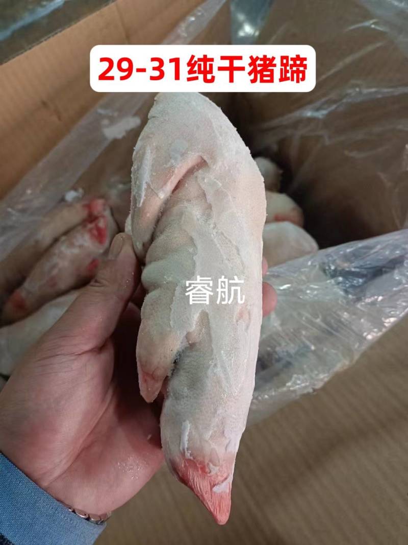 猪蹄，猪手，纯干猪蹄，纯干猪手，猪脚，纯干猪脚