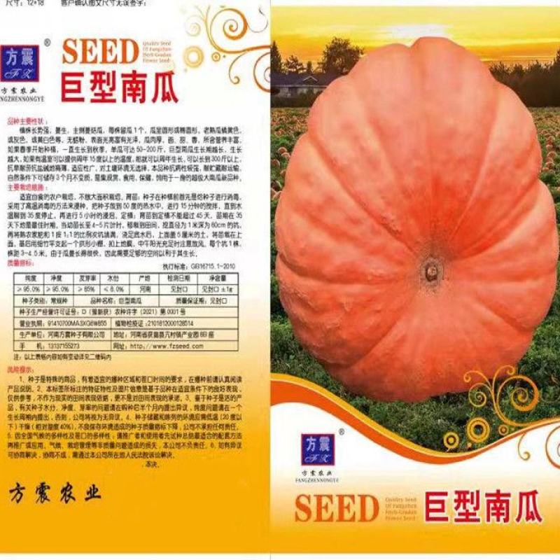 特大南瓜种籽大南瓜种子南瓜太空南瓜庭院瓜果种子春秋播蔬菜