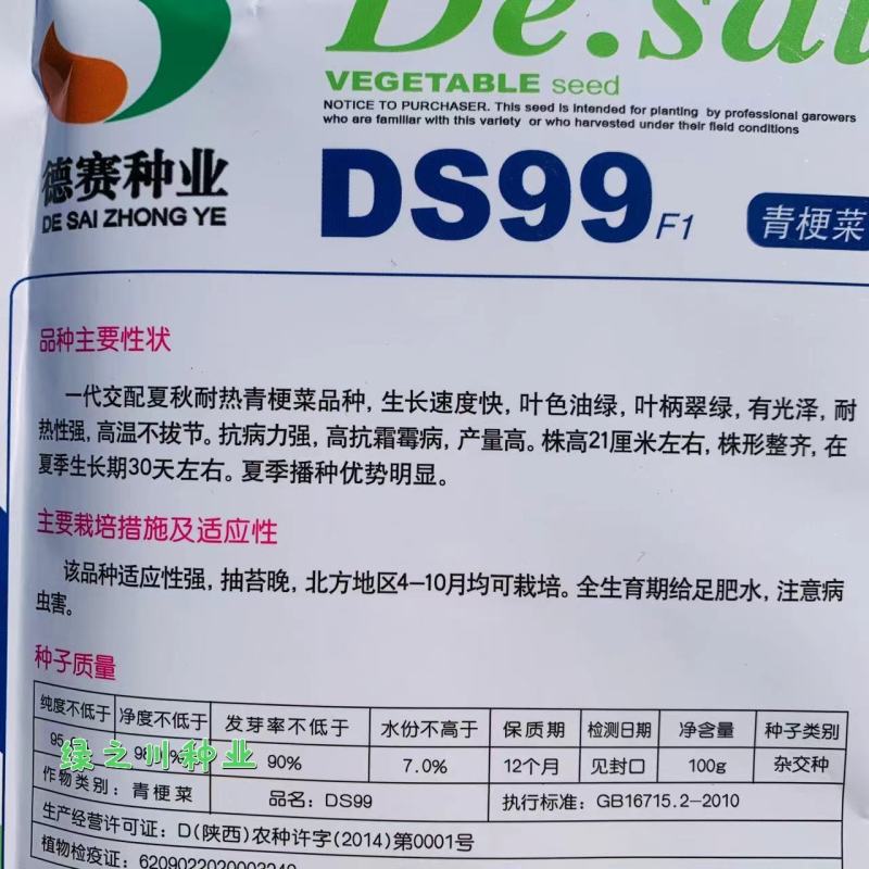 油绿新品种青梗菜种子德赛DS99夏秋耐热青梗菜种子抗病