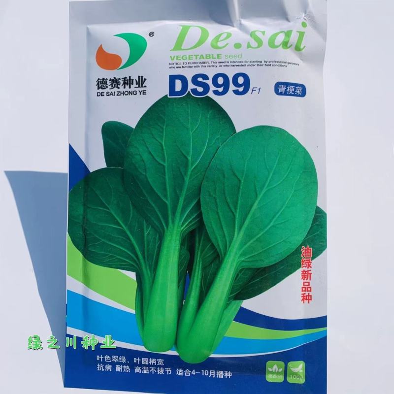 油绿新品种青梗菜种子德赛DS99夏秋耐热青梗菜种子抗病
