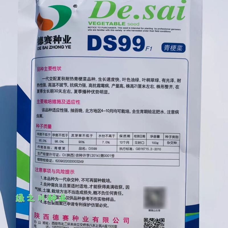 油绿新品种青梗菜种子德赛DS99夏秋耐热青梗菜种子抗病