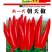 朝天椒种子高产超辣小米辣椒种子四季种植泰椒种籽盆栽庭院
