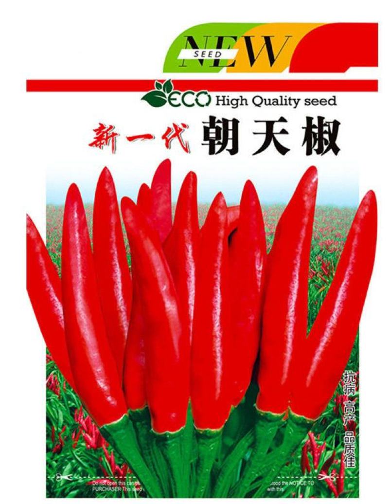 朝天椒种子高产超辣小米辣椒种子四季种植泰椒种籽盆栽庭院