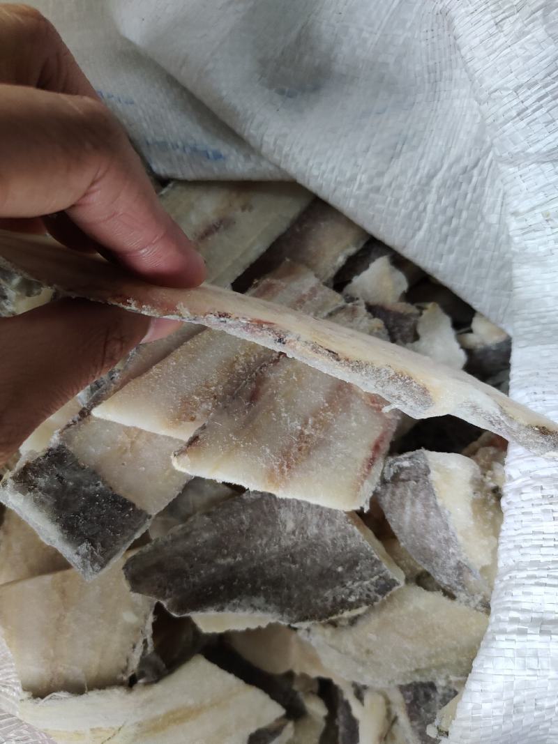 常年收售狭鳕鱼肉，长尾鳕肉，绿青鳕肉等