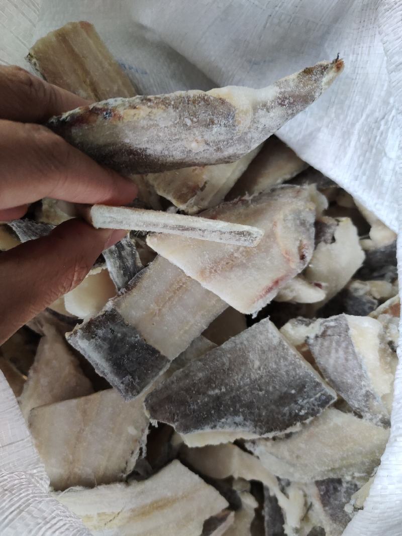 常年收售狭鳕鱼肉，长尾鳕肉，绿青鳕肉等