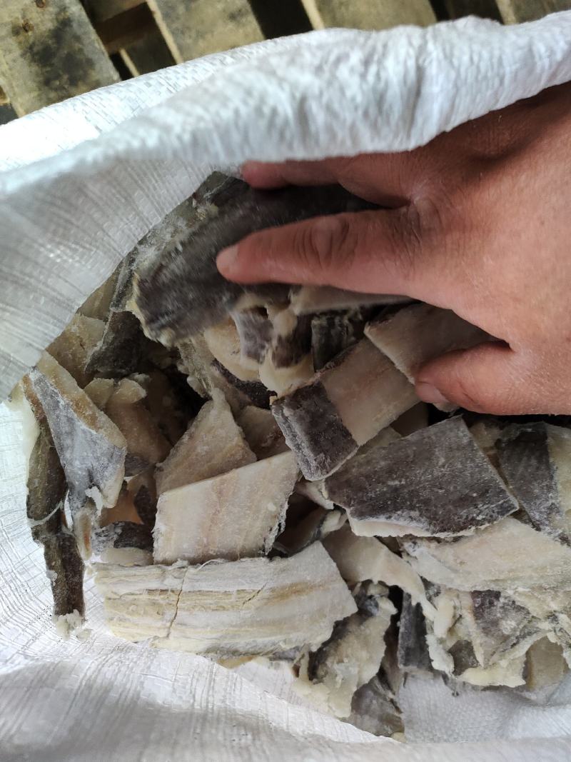 常年收售狭鳕鱼肉，长尾鳕肉，绿青鳕肉等