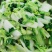 快菜208疏菜种子直立生长速度快20天即可以市叶片厚纤维