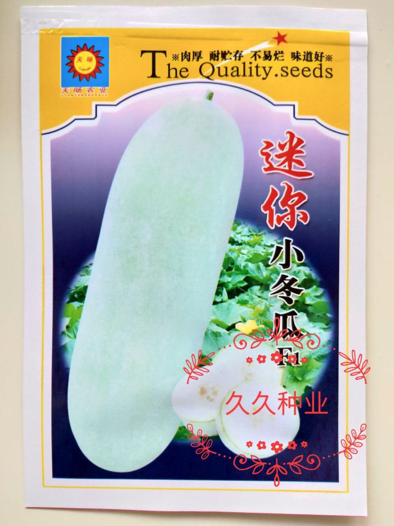 小冬瓜种子台湾迷你实心冬瓜种籽粉皮冬瓜微型水果四季蔬
