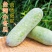 小冬瓜种子台湾迷你实心冬瓜种籽粉皮冬瓜微型水果四季蔬