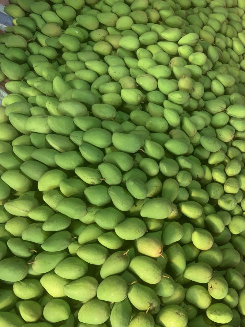 海南三亚台农芒果大/小台一级二级，细皮漂亮货小台芒