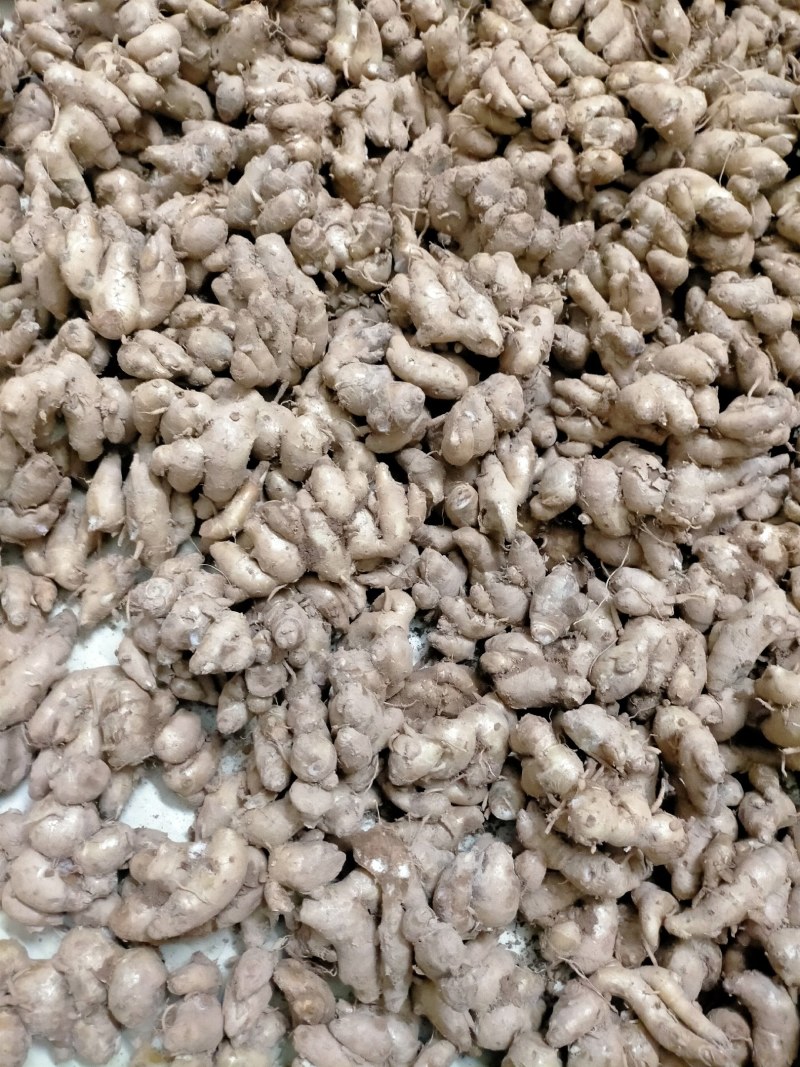 新鲜沙姜做出调料味香