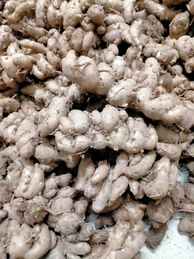 新鲜沙姜做出调料味香