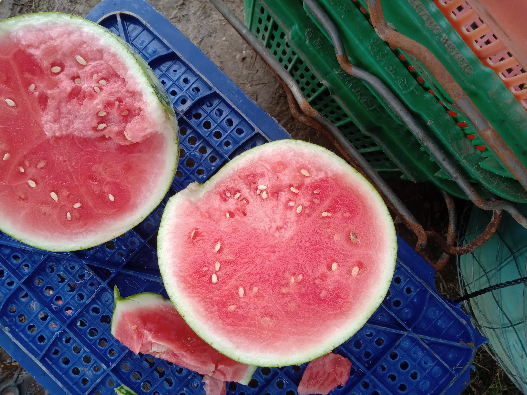 透析病人在家中用餐场景
