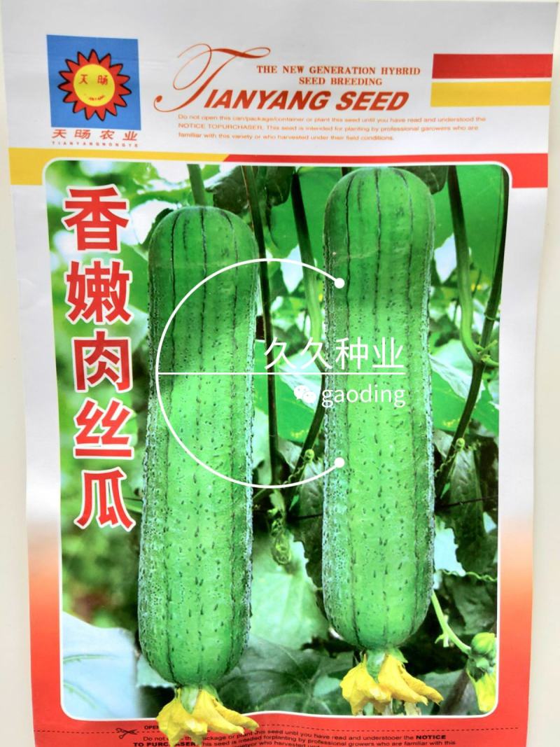 高产香嫩肉丝瓜种春夏秋季特长丝瓜籽农家庭院爬藤种子蔬菜菜