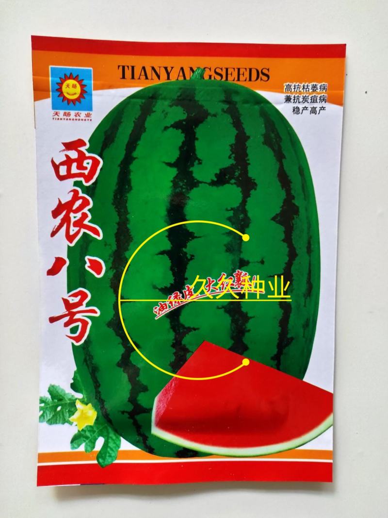 西农八号西瓜种子特大超甜西瓜种子抗病高产田园大棚种植