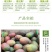【精品供应】攀枝花凯特大芒果一件代发专业供应各大电商平台