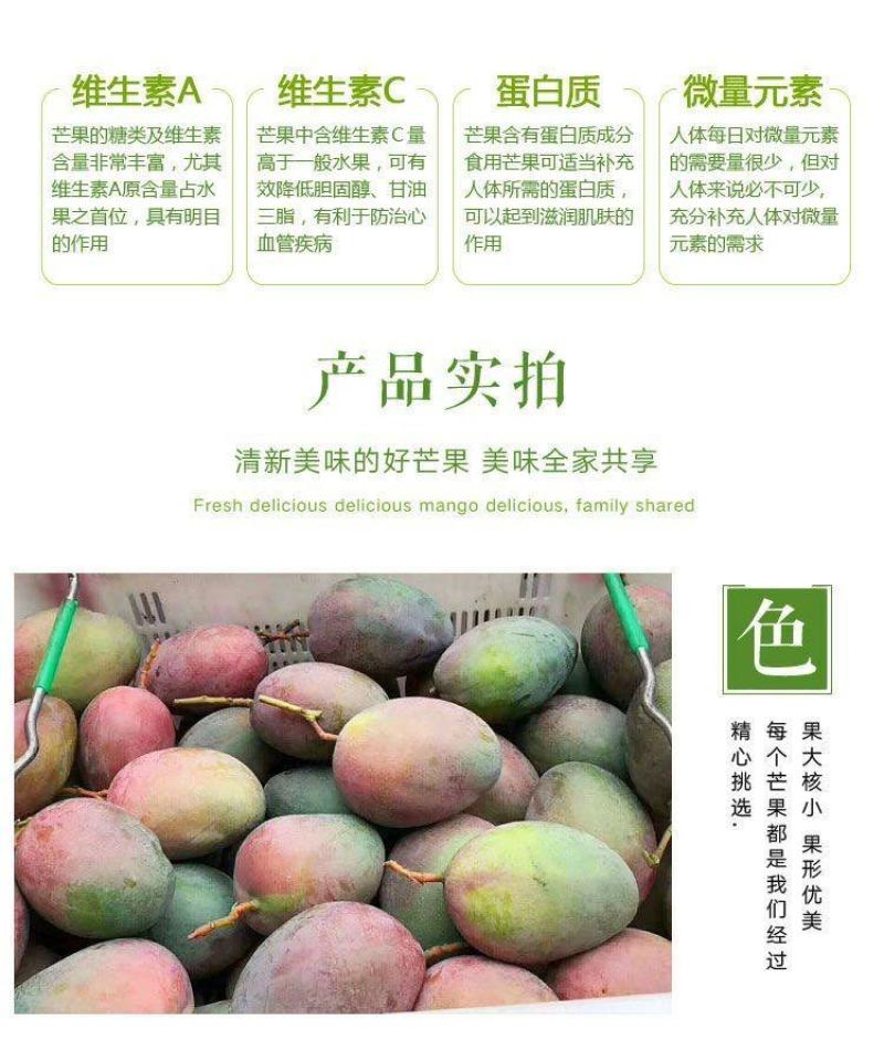 【精品供应】攀枝花凯特大芒果一件代发专业供应各大电商平台