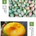 【精品供应】攀枝花凯特大芒果一件代发专业供应各大电商平台