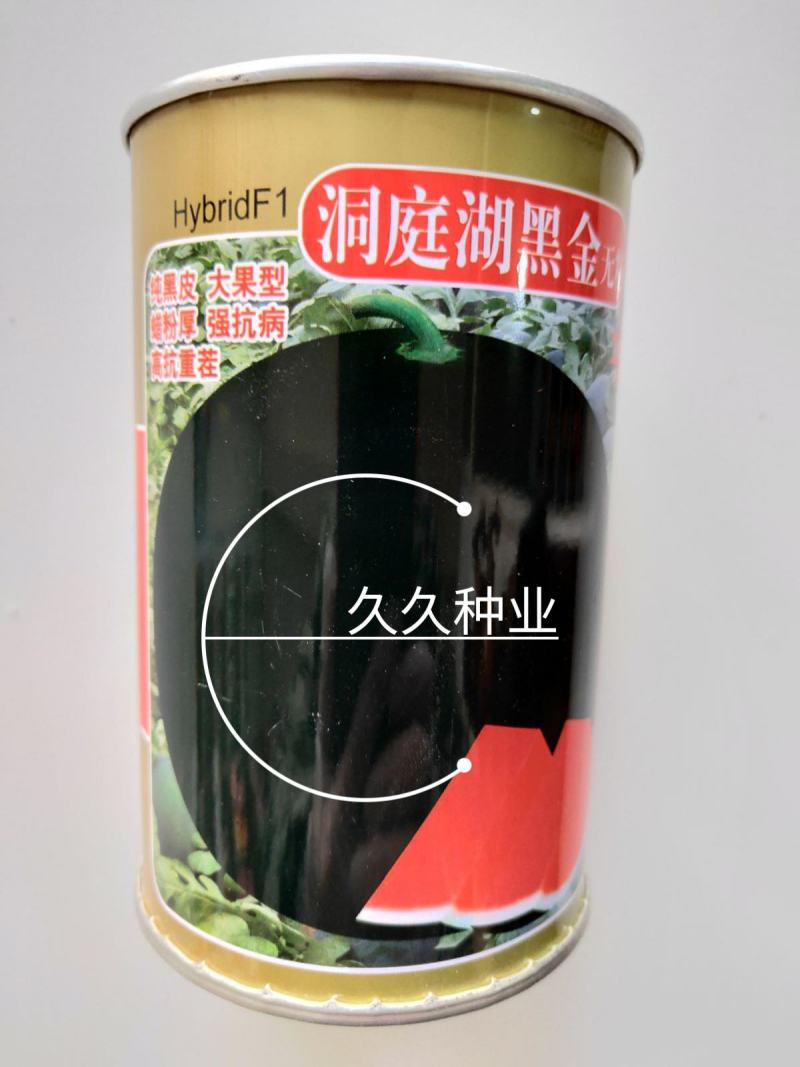 洞庭湖黑金无籽纯黑皮大果型强抗病高抗重茬西瓜种子水果种籽