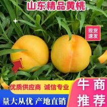 精品水蜜桃。黄金香，“热卖中”足斤足两，保质保量发往全国