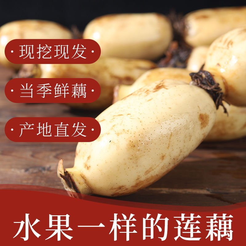 云南精品莲藕大量上市，产地直销，一手货源，量大从优，来电优惠