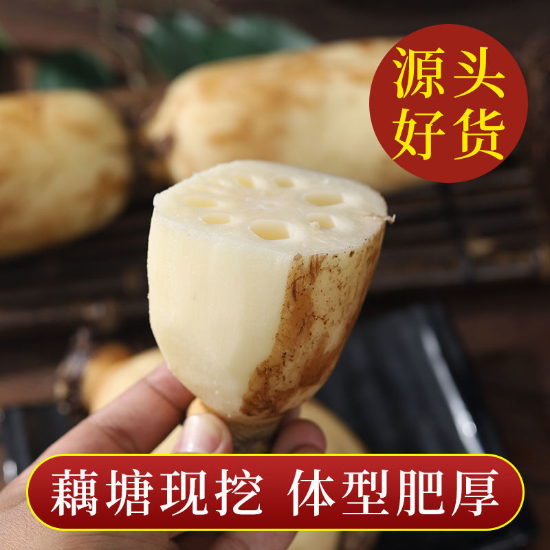 云南精品莲藕大量上市，产地直销，一手货源，量大从优，来电优惠