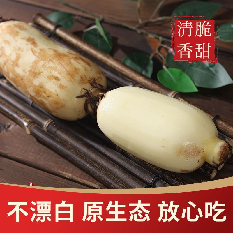 云南精品莲藕大量上市，产地直销，一手货源，量大从优，来电优惠