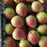 七月红梨，纯甜，糖度高，渣少皮细，可供电商社区团购