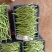 无筋豆，架豆王，精品无筋豆，量大从优，欢迎选购咨询
