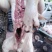生鲜，肉类