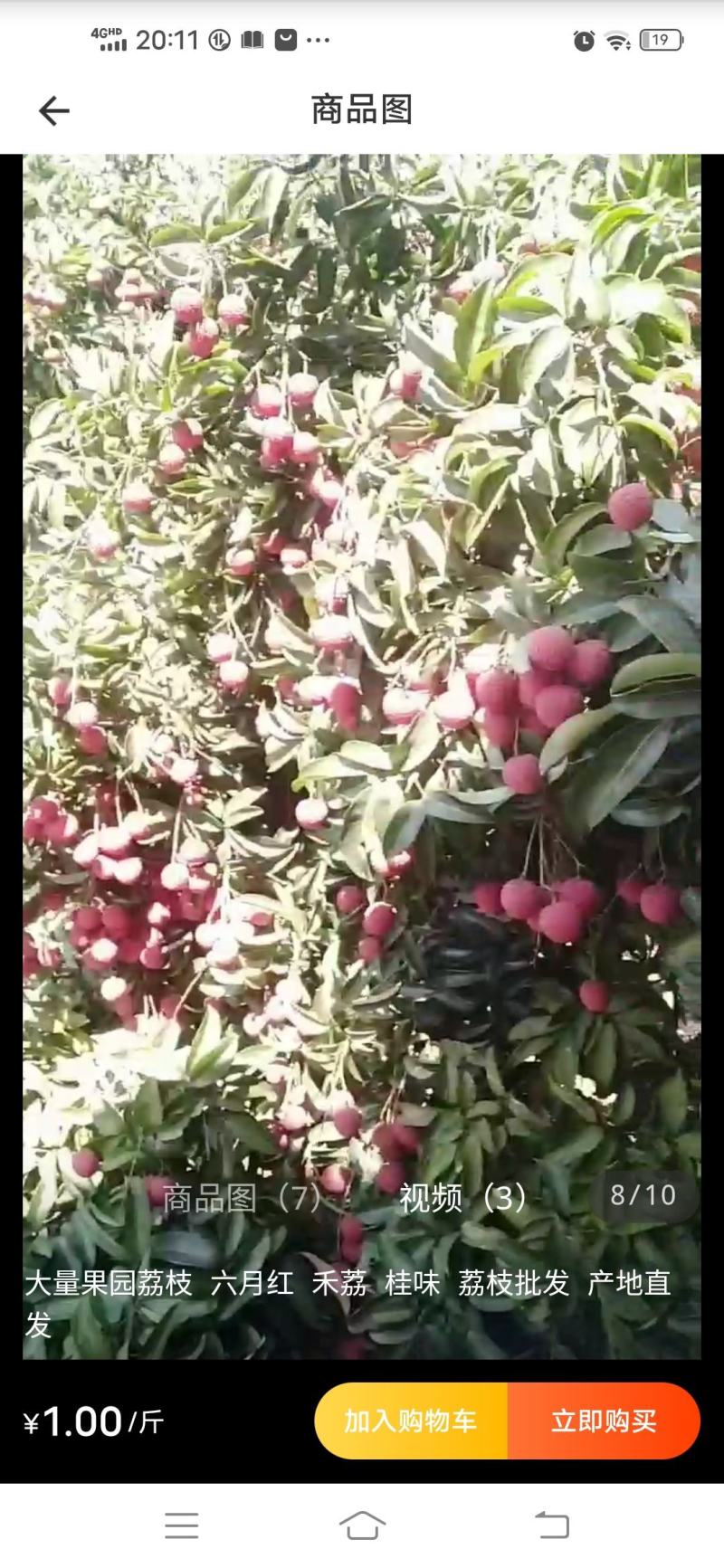 禾荔荔枝六月红荔枝红花专业代办电商代发原产地直供