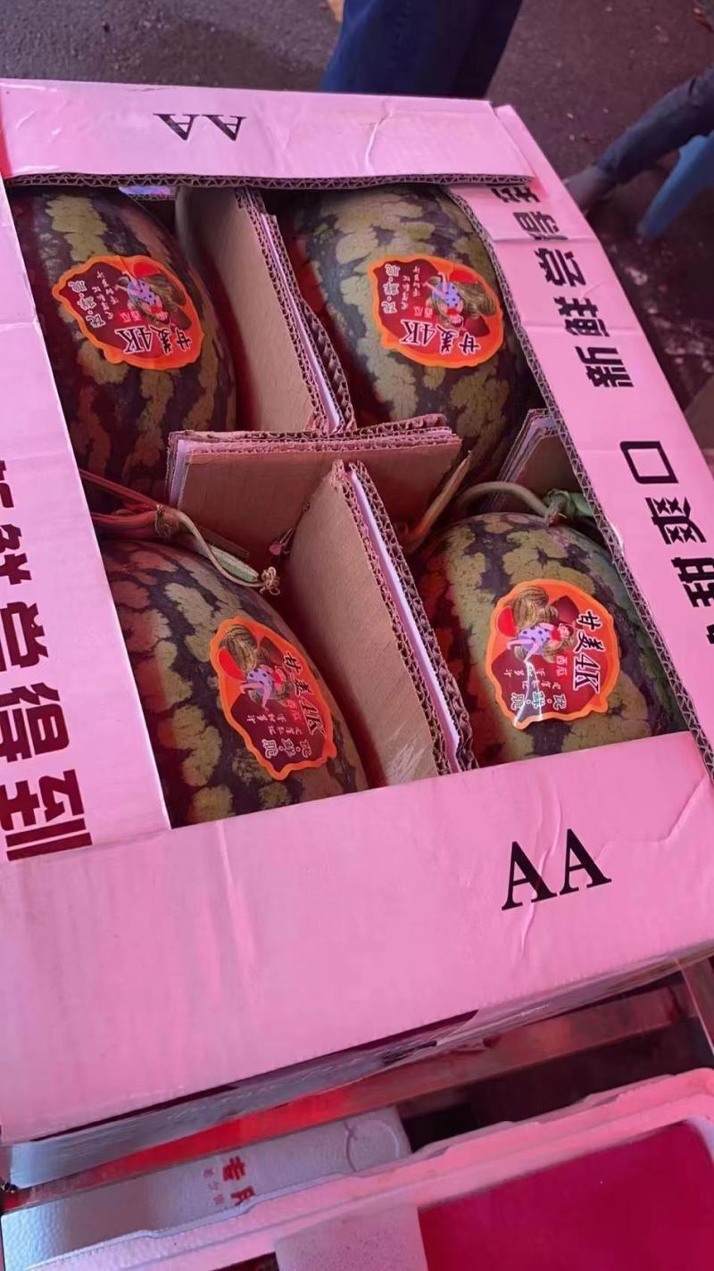 【好货】陕西甘美4k西瓜大量上市货源充足欢迎咨询