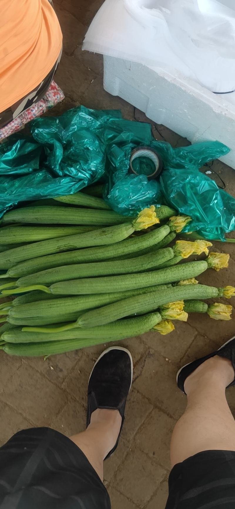 精品丝瓜