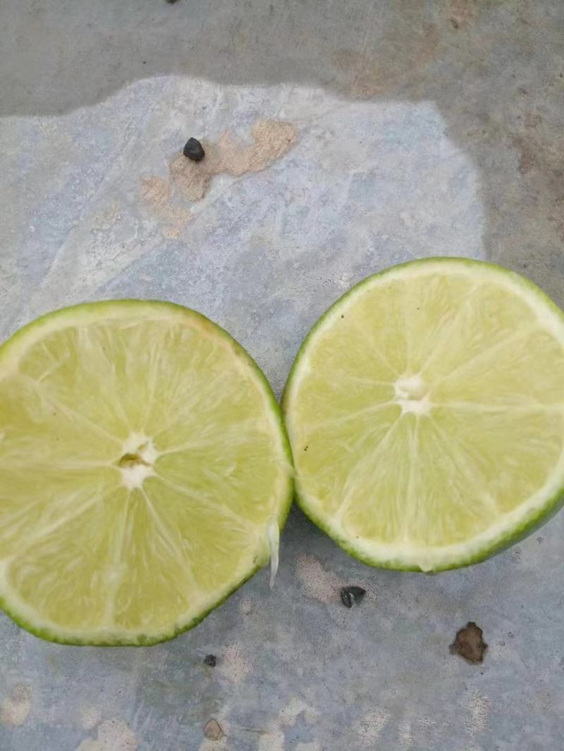 无籽青柠