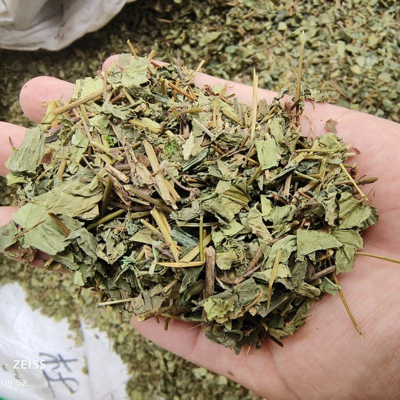 肺形草中药材新鲜干货双蝴蝶穿藤金兰花铁交杯