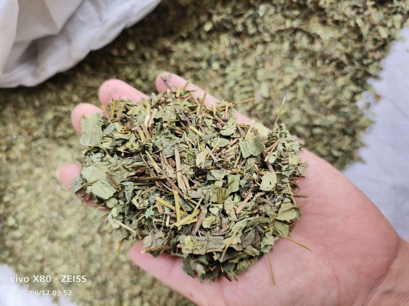 肺形草中药材新鲜干货双蝴蝶穿藤金兰花铁交杯
