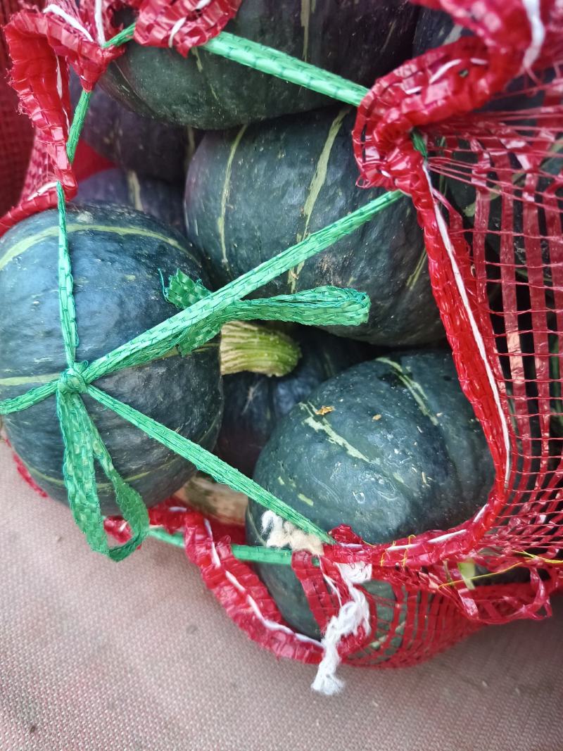 暴粉贝贝南瓜香糯面甜口感非常好