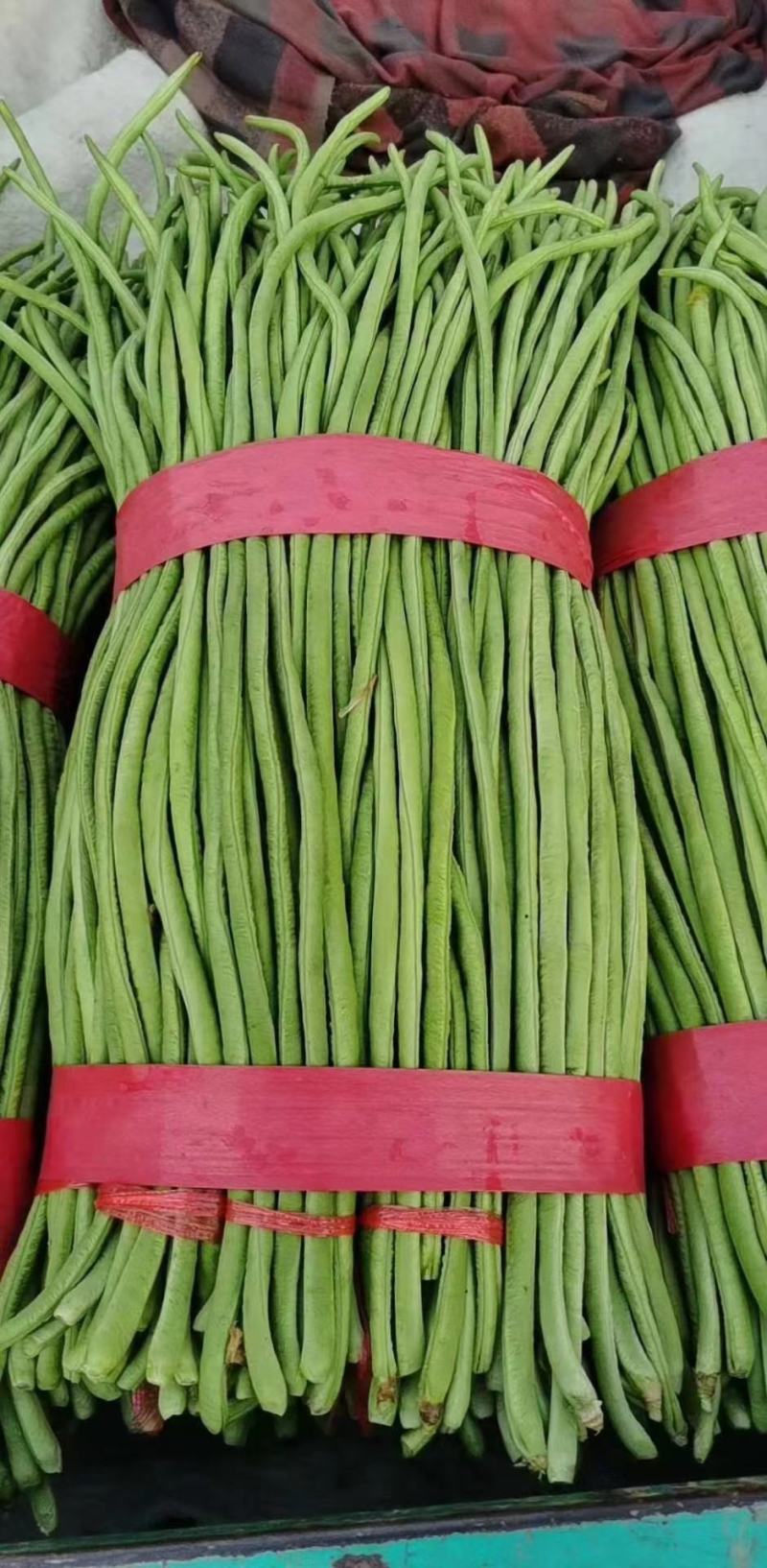 长豆角大量现货