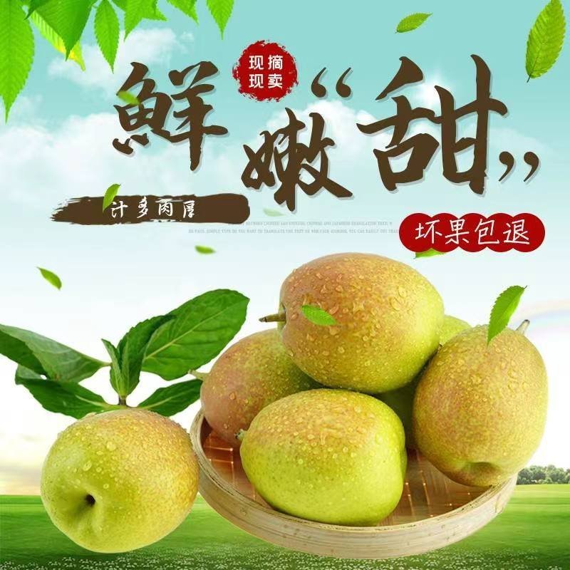 新梨七号《红香酥》电商团购精选商场批发礼盒包装