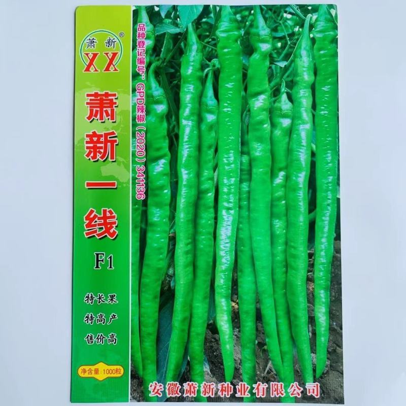 超长线椒种子香辣农夫长天一号超辣辣椒四季播耐热耐湿高产