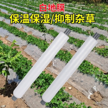 加厚透明塑料地膜大棚膜无滴膜白农用家用蔬菜